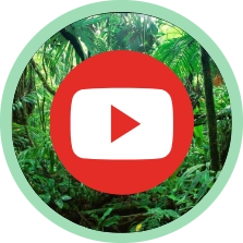 boton youtube personalizado pequeno