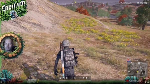 Directo de Pubg